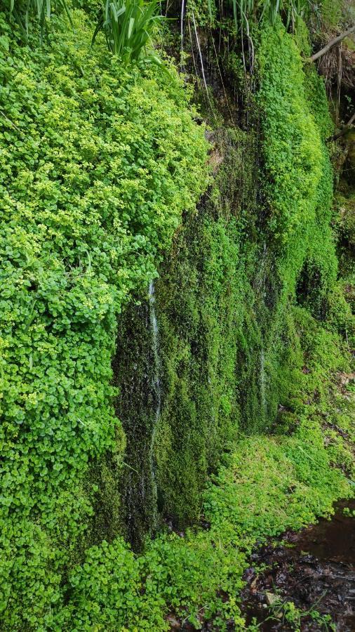 Pe Na Aldeia Villa Outeiro  Bagian luar foto