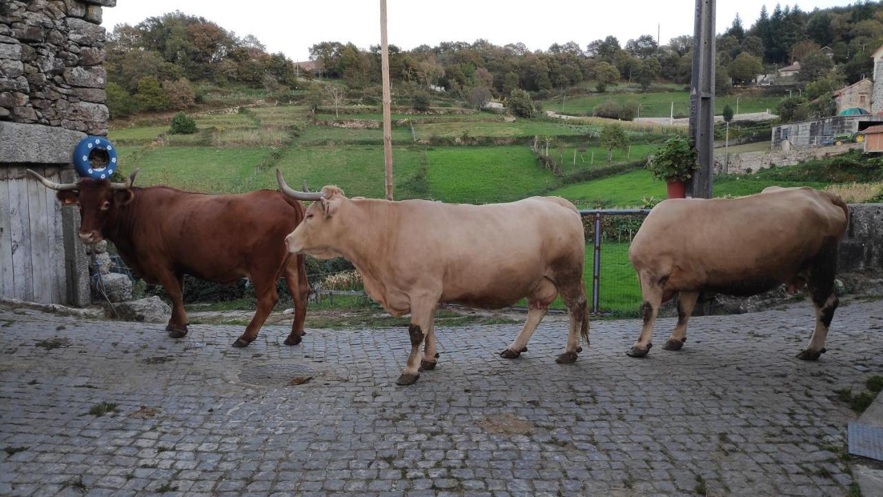 Pe Na Aldeia Villa Outeiro  Bagian luar foto
