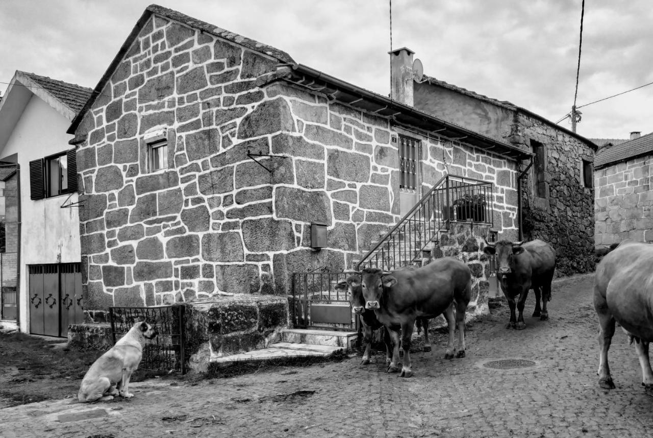 Pe Na Aldeia Villa Outeiro  Bagian luar foto