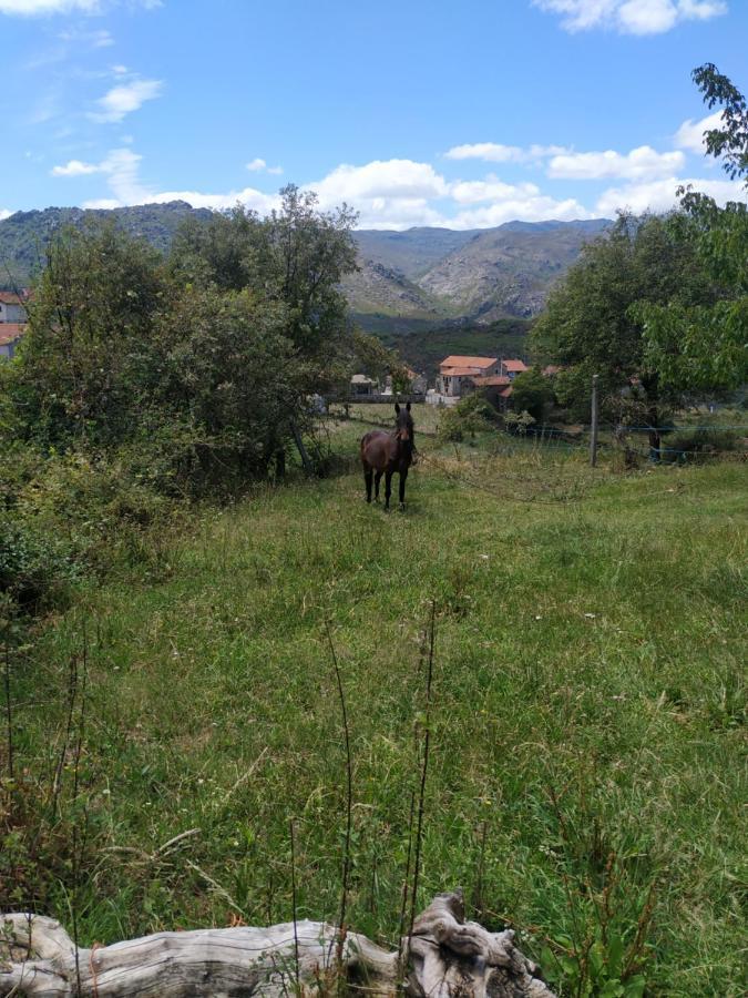 Pe Na Aldeia Villa Outeiro  Bagian luar foto
