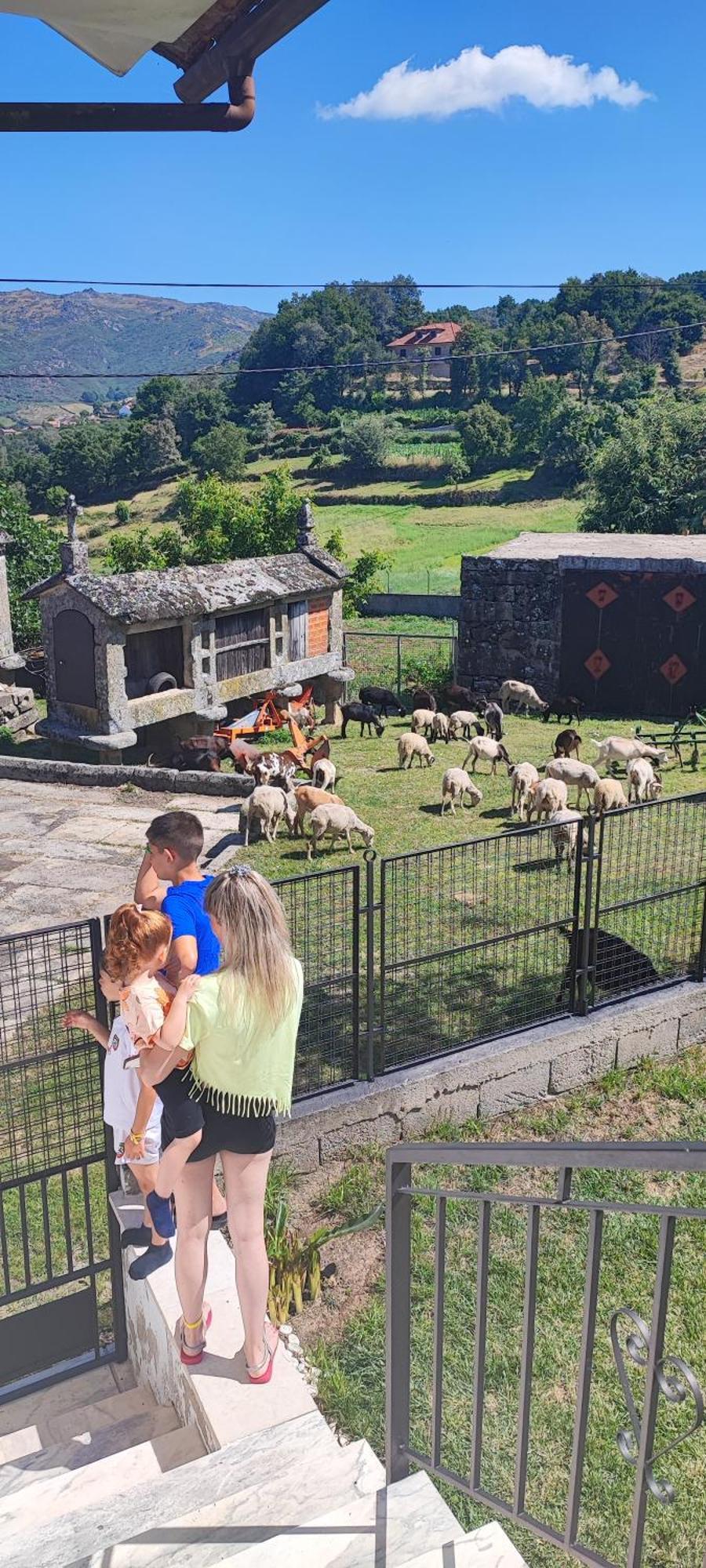 Pe Na Aldeia Villa Outeiro  Bagian luar foto